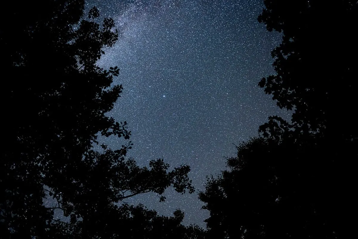 How to Find the North Star and Navigate by the Night Sky