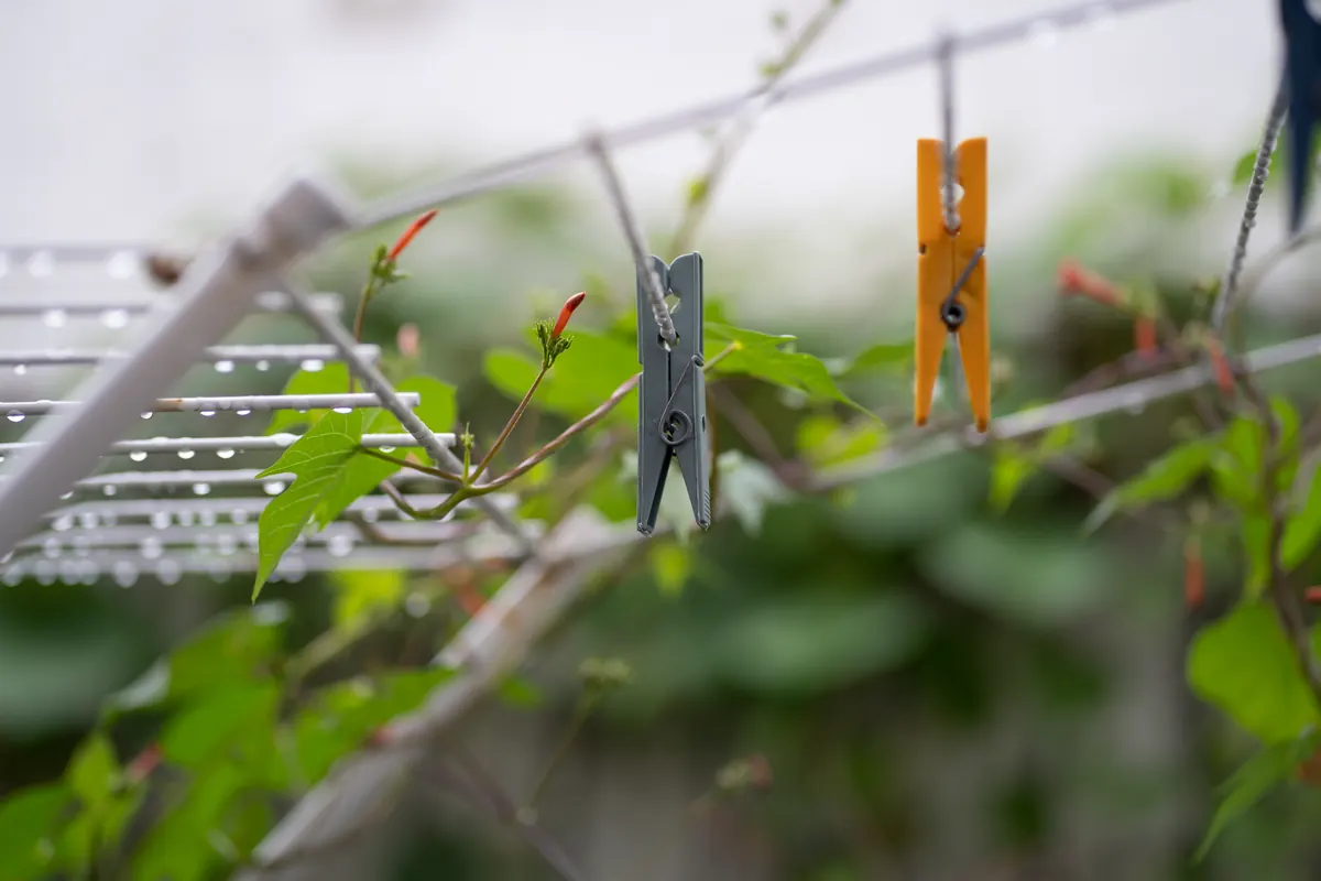 Why Your Rain Gauge Reads Wrong: 5 Placement and Reading Mistakes
